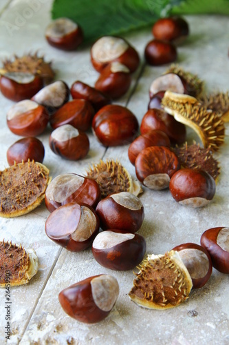 chestnuts photo