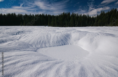 snow covered fields, pokljuka forest, julijan alps © Uroš Medved