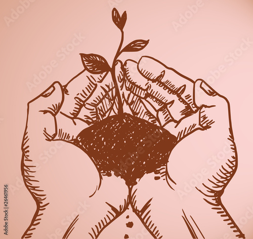 hands holding plant