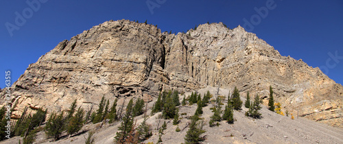 Levinski ridge in Gallatin national forest in Wyoming photo