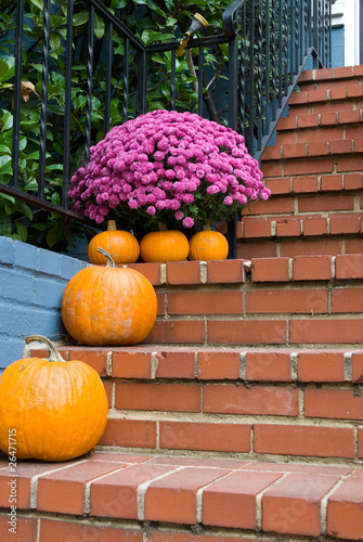 Colors of fall