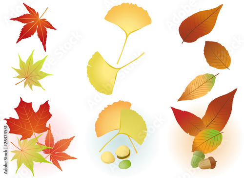 秋の葉（紅葉・銀杏・団栗）: Fall Leaf（Maple,Ginkgo,Acorn）