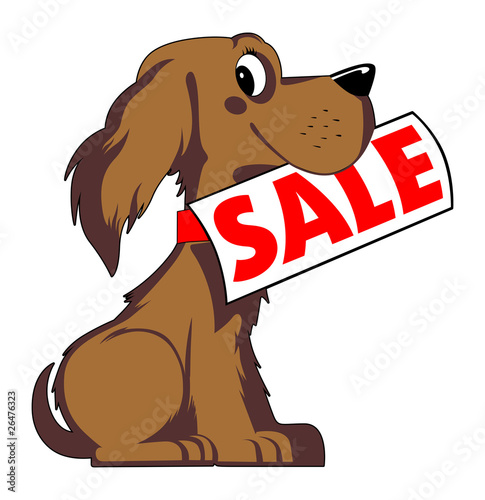dog sale