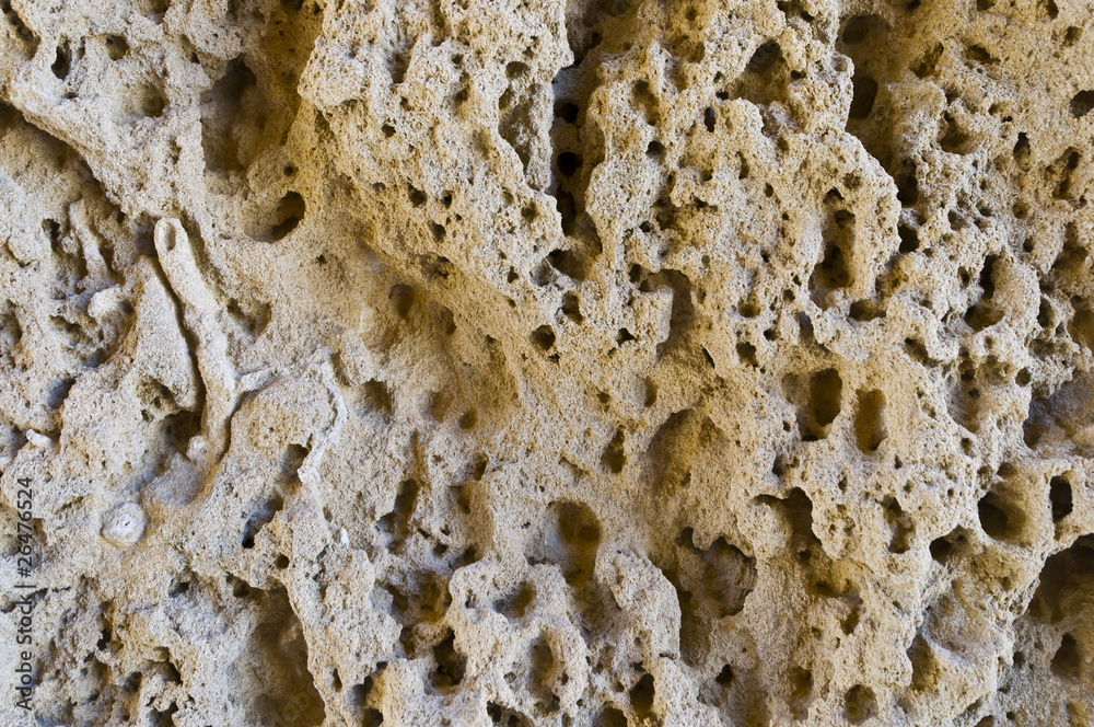 Texture of porous limestone Stock Photo Adobe Stock