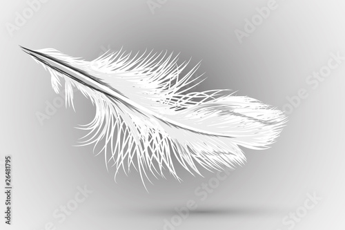 feather