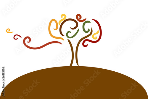 Abero autunno