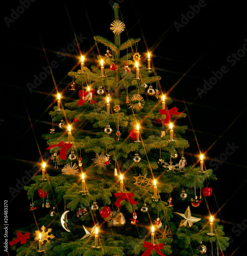 Weihnachtsbaum Ausschnitt Sternchen bea photo