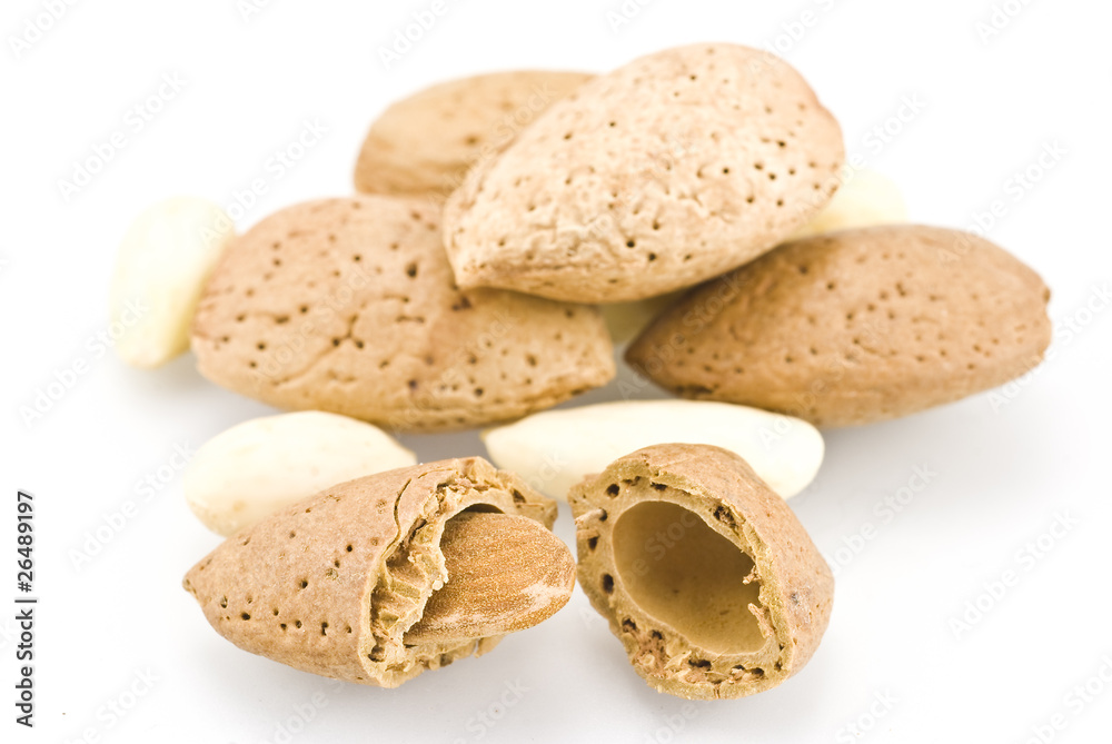 almond on white background almond on white background