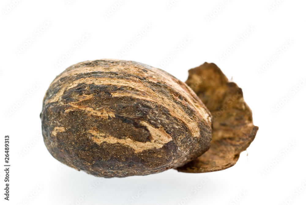 shea nut on white shea nut on white