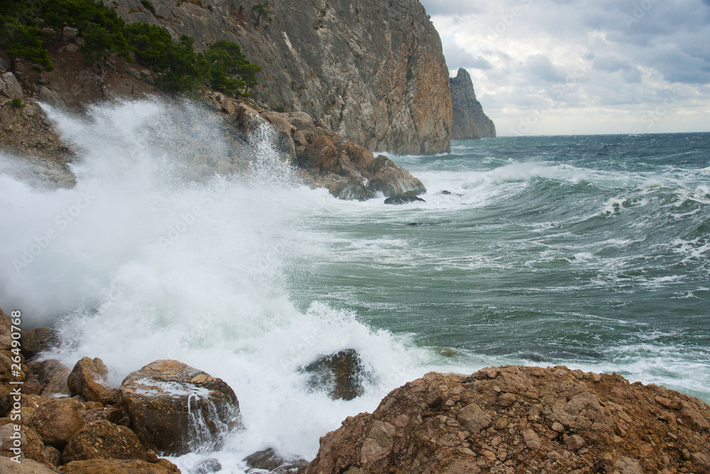 Obraz premium Sea landscape.