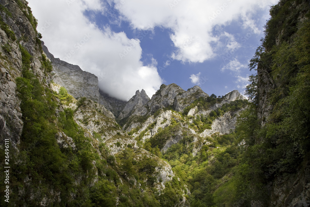 Desfiladero de los Beyos (Picos de Europa,Asturias)
