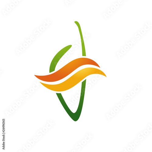 logo entreprise, corse