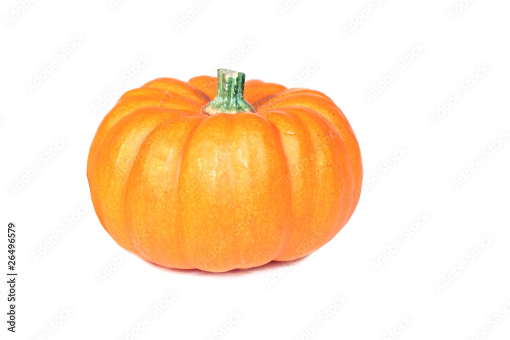 Obraz premium Pumpkin on white background close-up.