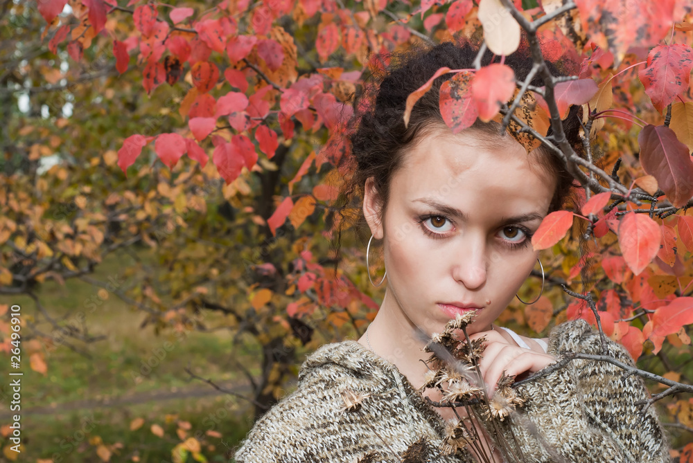 Fototapeta premium girl with dry flowers