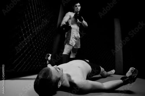 Mixed martial artists fighting - knock out