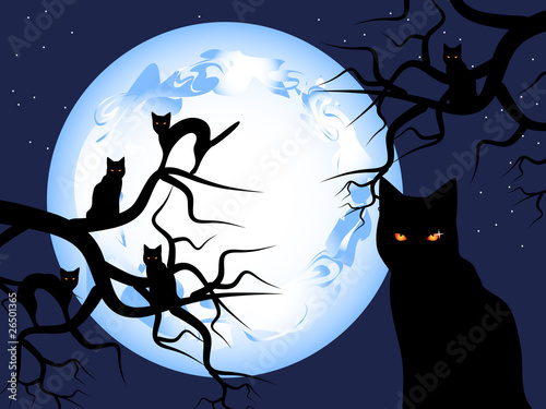 Mysterious-cats