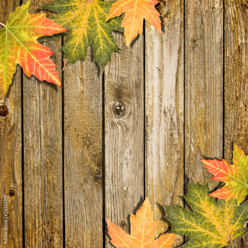 Fotografie Autumn Leaves over wooden background