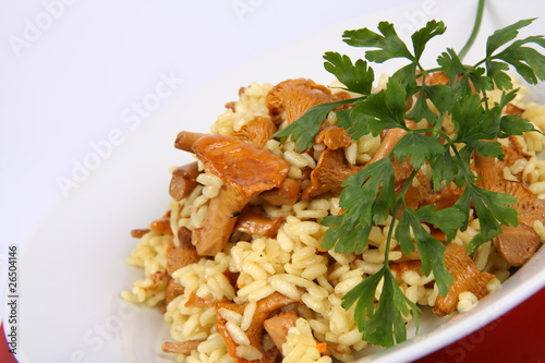 Risotto with mushrooms on a plate decorated with parsley photo