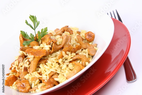 Risotto with mushrooms on a plate with parsley and a fork photo