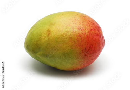 mango fruit