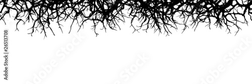 Silhouette von trockenen Zweigen - Designelement photo