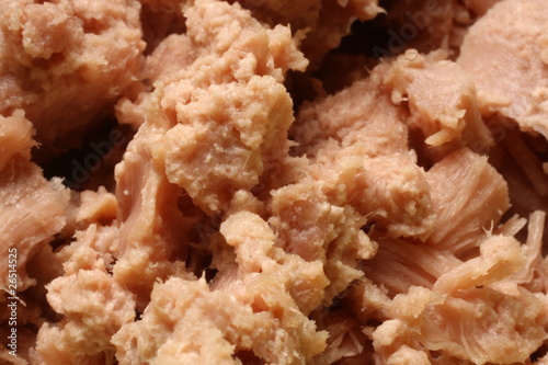 Fotografie miette de thon