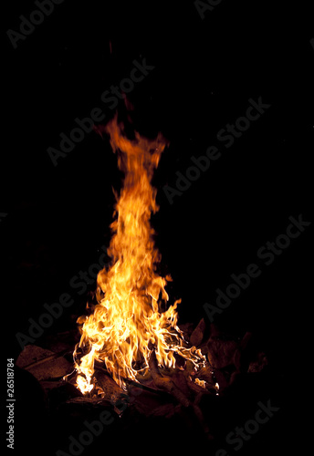Fototapete Bonfire by night