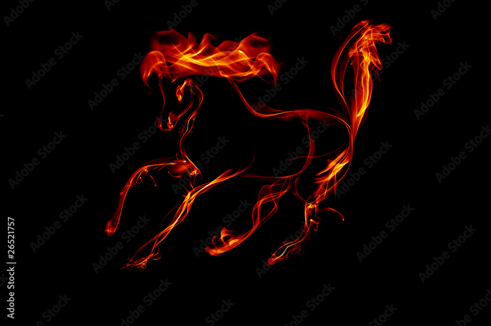 Fototapeta premium fiery horse