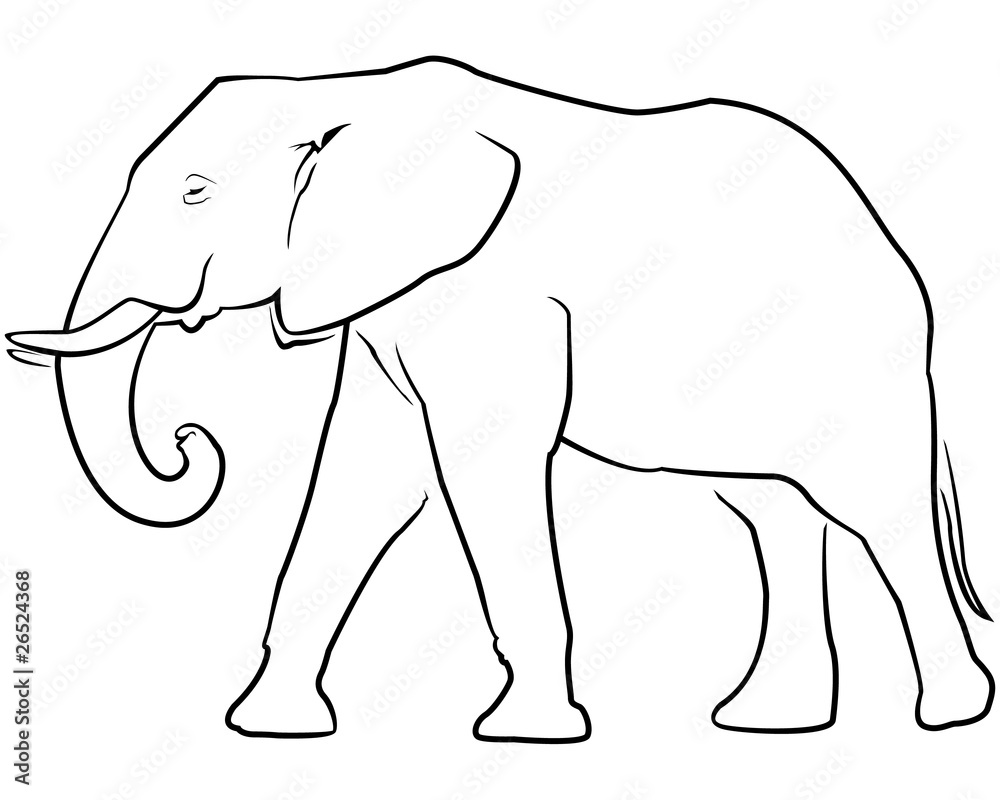 Elephant Elephant