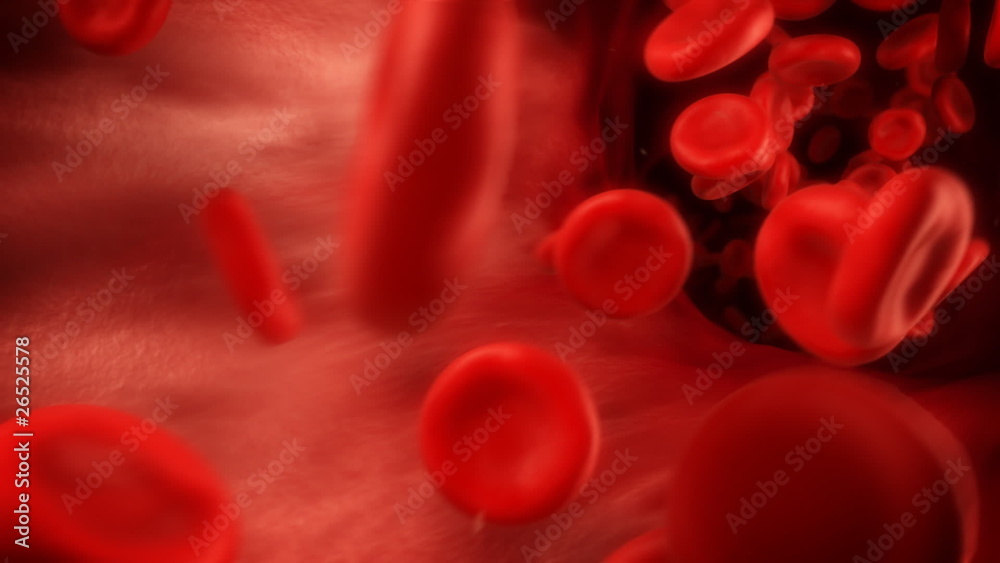 Blood Flow Blood Flow