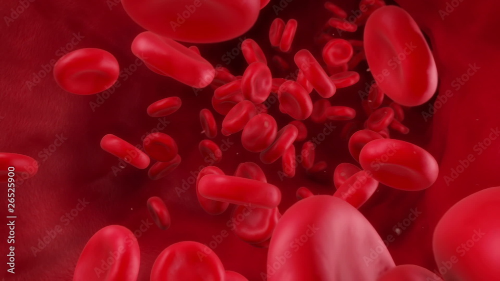 Blood Flow