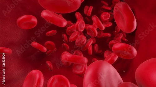 Blood Flow