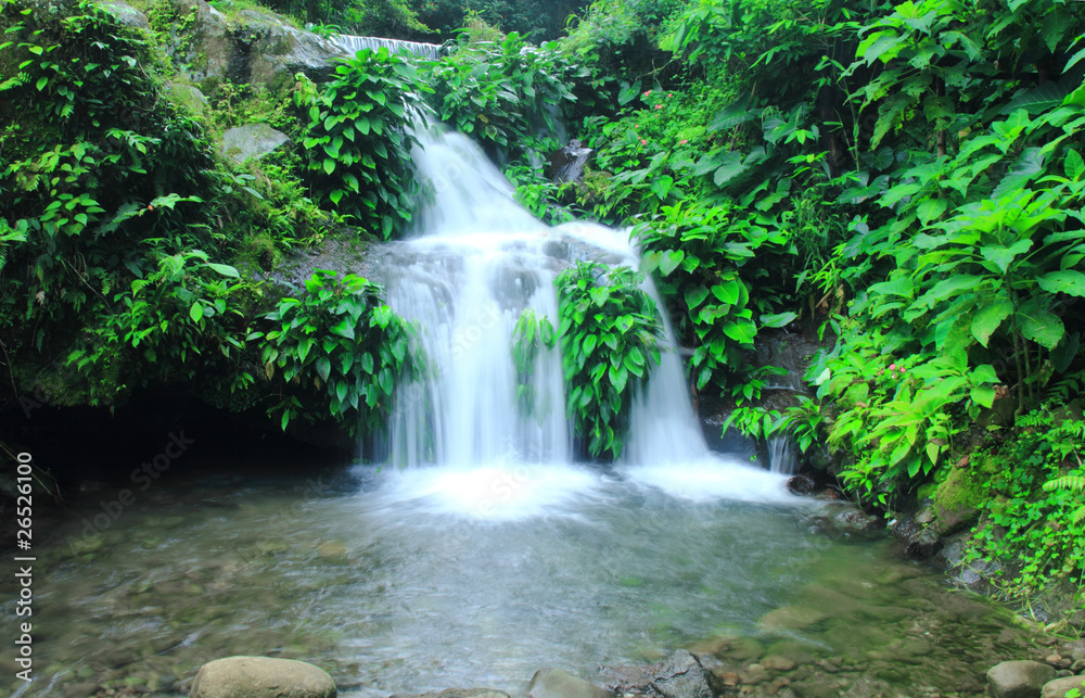 water fall water fall