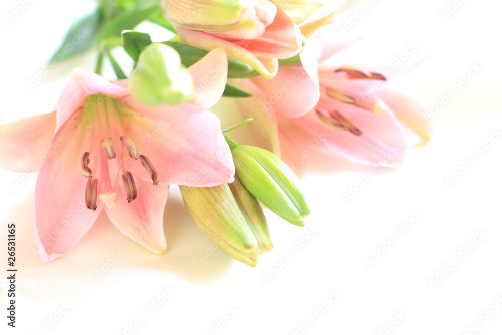 Elegant Pink Lily bouquet