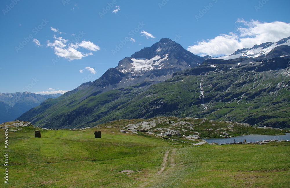 custom made wallpaper toronto digitalalpes en été