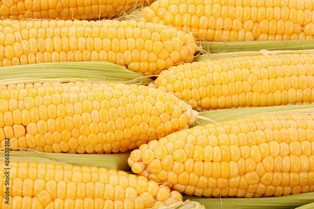 Yellow corns