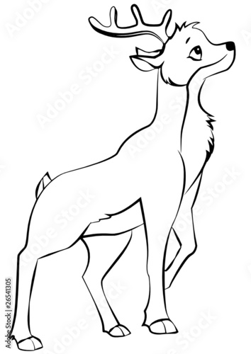 Rehbock