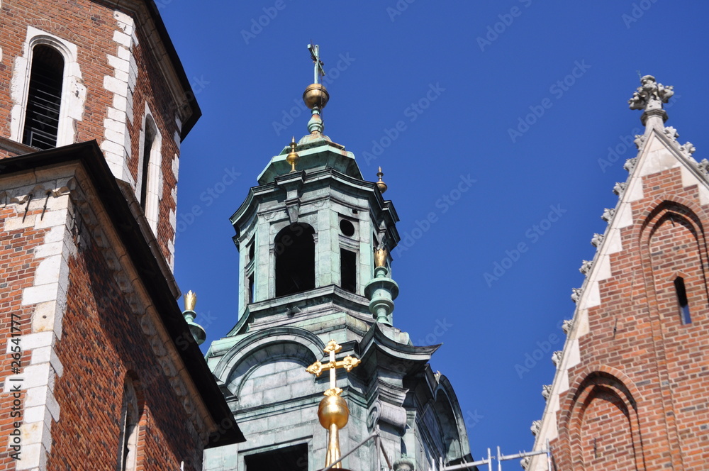 Fototapeta premium il castello wawel di cracovia