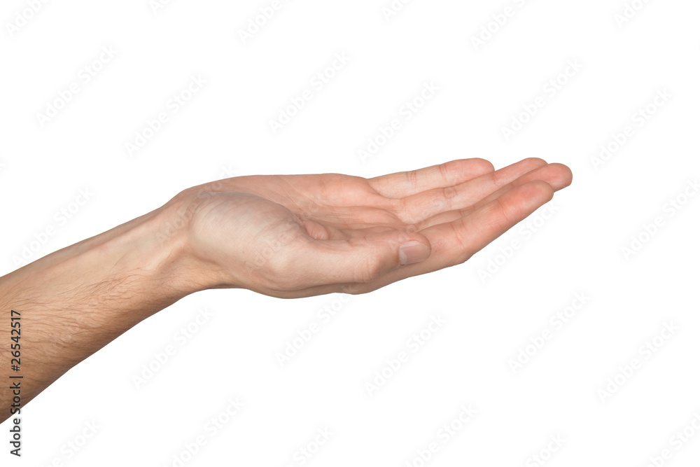 empty man's hand on white background