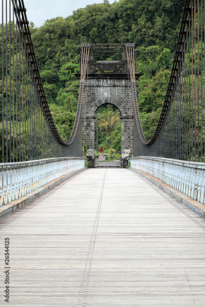 Fototapeta premium tablier en bois du pont suspendu de la Rivière de l'Est