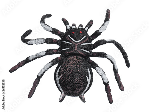 Fake black spider isolated on white
