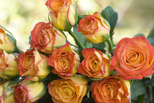 Beautiful orange bouquet of roses