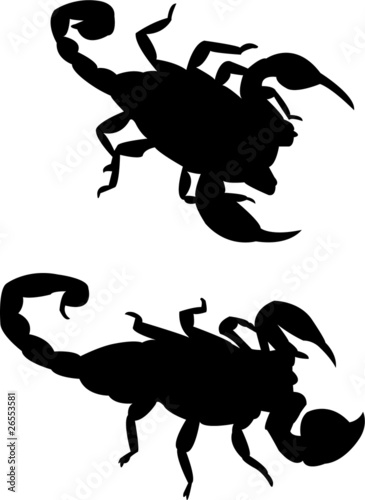 scorpions silhouette vector