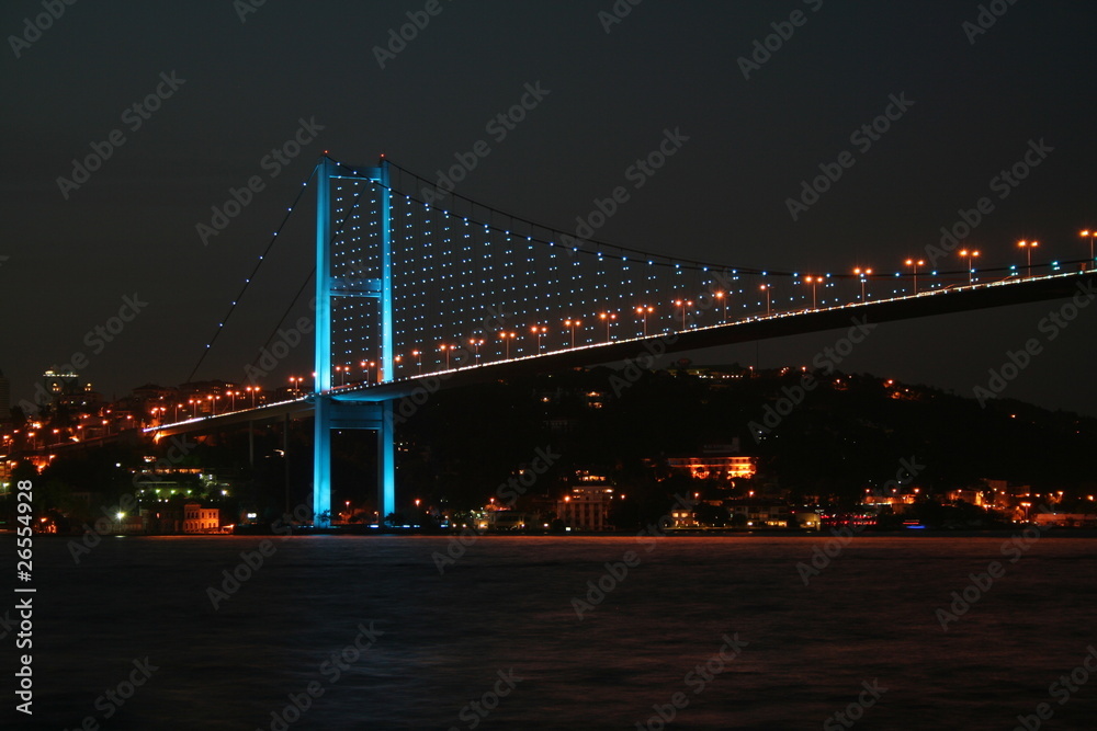 Fototapeta premium Bosphorus Bridge