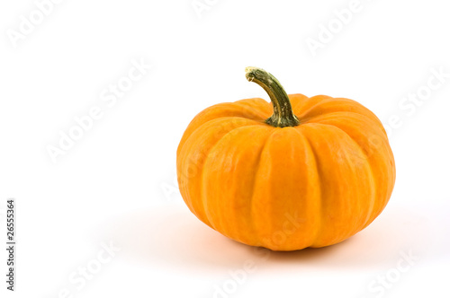 Miniature pumpkin