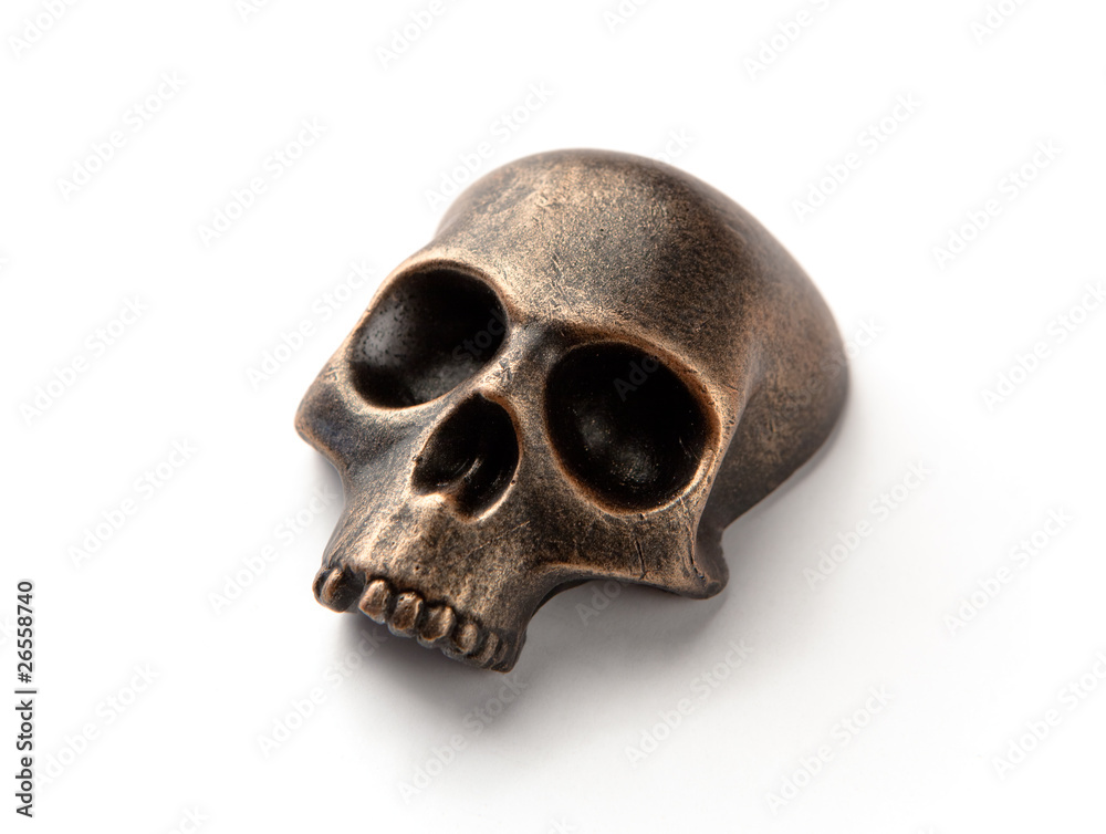 Bronze skull model Bronze skull model