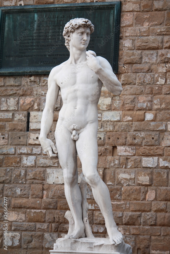 Obraz premium David Statue in Florence Tuscany