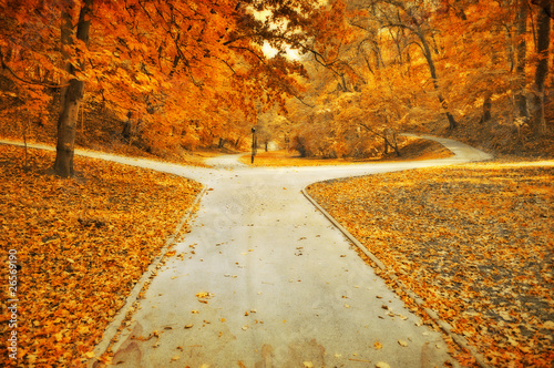 Autumn park lanes grunge photo