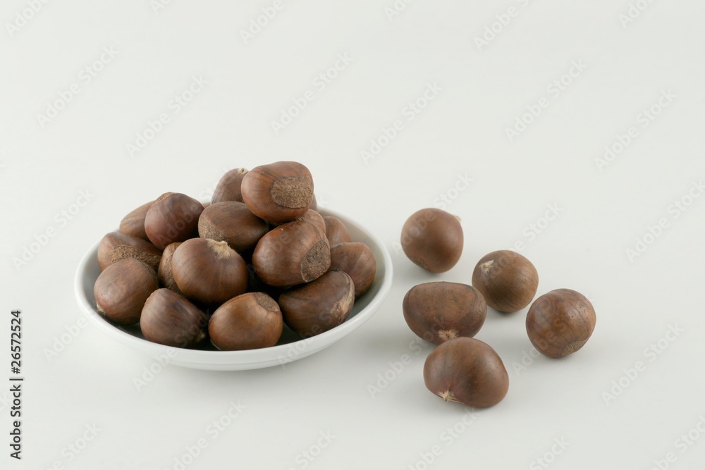 Japanese Chestnut Japanese Chestnut