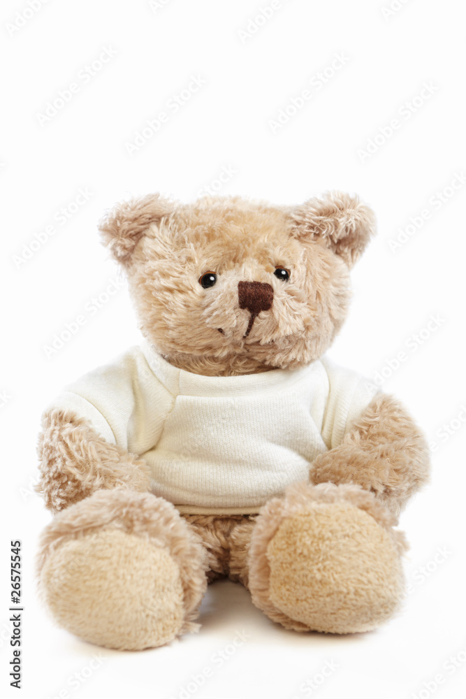 Fototapeta premium Teddy bear doll
